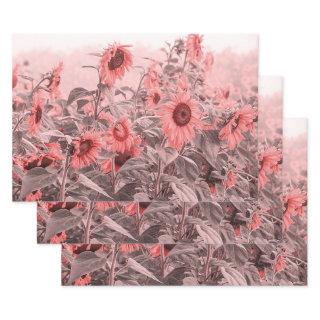 Sunflower Field Vintage Blush Pink Gray Decoupage  Sheets