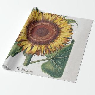 Sunflower Vintage Damask Flower Illustration Art