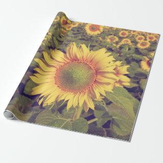 Sunflower with filter effect retro vintage styleag
