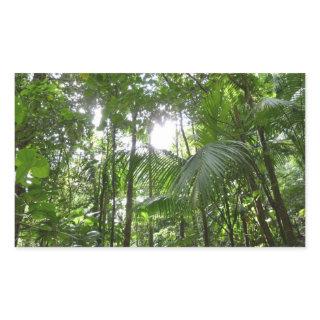 Sunlight Through Rainforest Canopy Tropical Green Rectangular Sticker