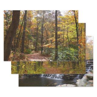 Sunlit Fall Trail in Laurel Hill State Park  Sheets