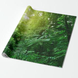 Sunlit tree canopy in tropical jungle