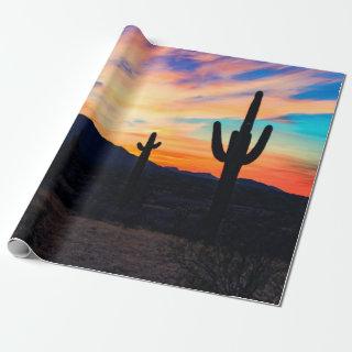Sunset Cactus Desert Dusk