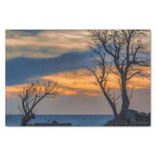 Sunset Scene at Waterfront Boardwalk, Montevideo Tissue Paper