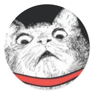 Surprised Cat Gasp Meme - Round Stickers