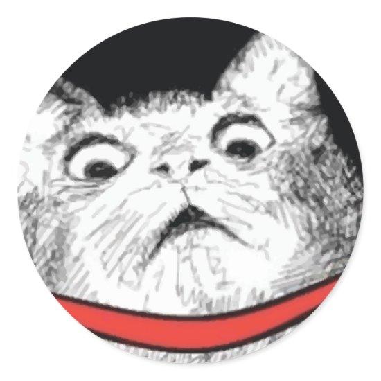 Surprised Cat Gasp Meme - Round Stickers