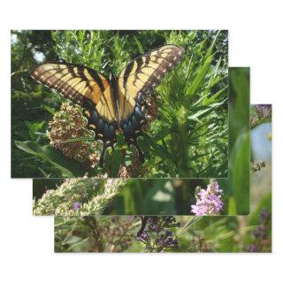 Swallowtail Butterfly III Beautiful Colorful Photo  Sheets
