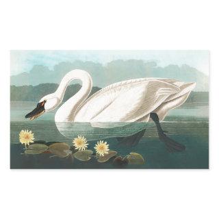 swan audubon bird white water swans rectangular sticker