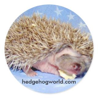 Sweet baby sticker