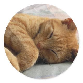 Sweet Dreams Classic Round Sticker