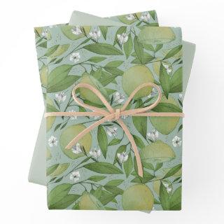 Sweet lime pattern