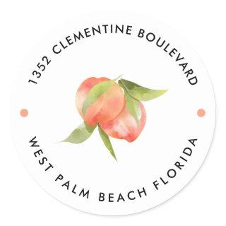 Sweet Peach Theme Return Address Classic Round Sticker