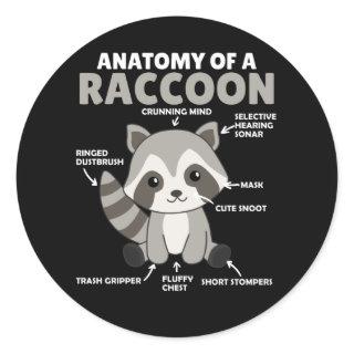Sweet Raccoon Explanation Anatomy Of A Raccoon Classic Round Sticker