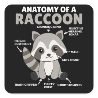 Sweet Raccoon Explanation Anatomy Of A Raccoon Square Sticker