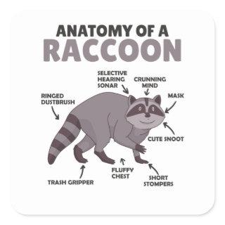 Sweet Raccoon Explanation Anatomy Of A Raccoon Square Sticker