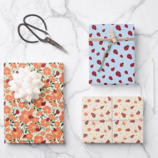 Sweet Summer Ladybugs Mixed  Set