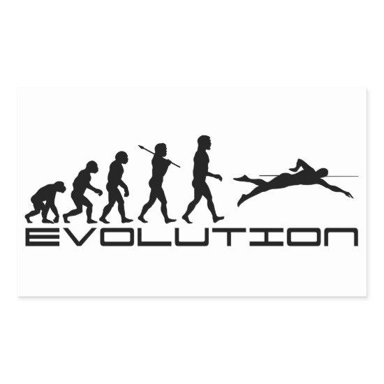 Swim Swimming Swimmer Sport Evolution Art Rectangular Sticker