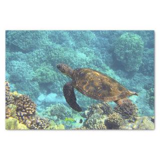 Swimming Sea Turtle in Blue Ocean Tissue Paper