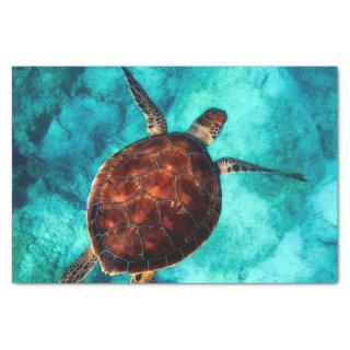 Swimming Sea Turtle in Blue Ocean Water  Tissue Paper