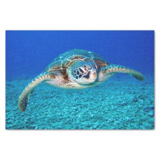 Swimming Sea Turtle Tissue Paper