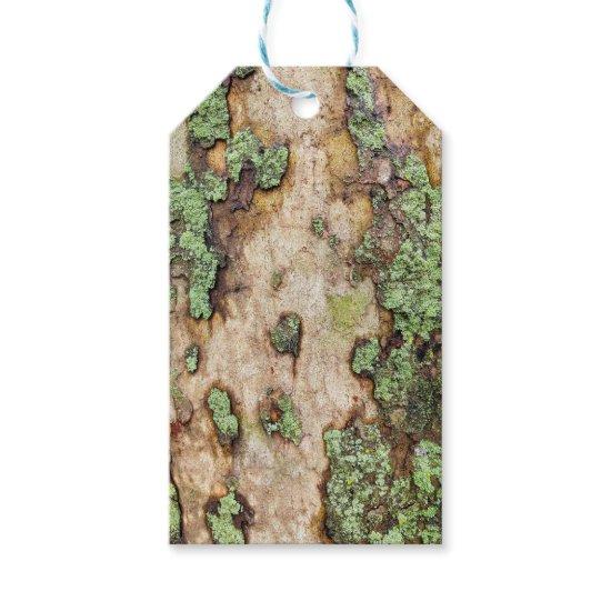 Sycamore Tree Bark Moss Lichen Gift Tags