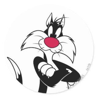 SYLVESTER™ Red Nose Classic Round Sticker
