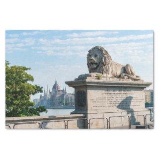 Szechenyi Chain Bridge and Parliament of Budapest  Tissue Paper