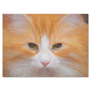 Tabby Cat Orange White Cute Fluffy Beautiful Tissue Paper