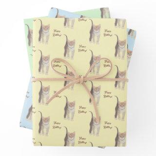Tabby Kitten Customizable  Sheets