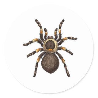 Tarantula Classic Round Sticker