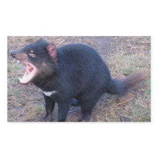 Tasmanian Devil - Stickers