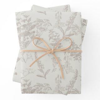 Taupe & Cream Tonal Wildflower Line Art   Sheets