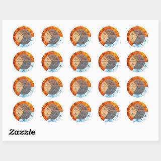 TCM clock elements meridians organs Classic Round Sticker