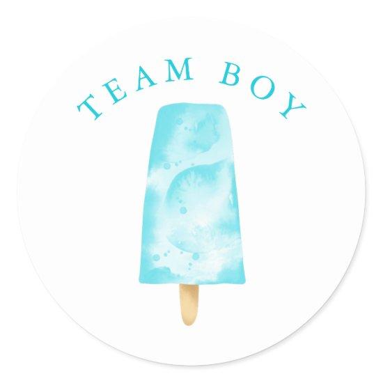 Team Boy Gender Reveal Party Vote Classic Round Sticker