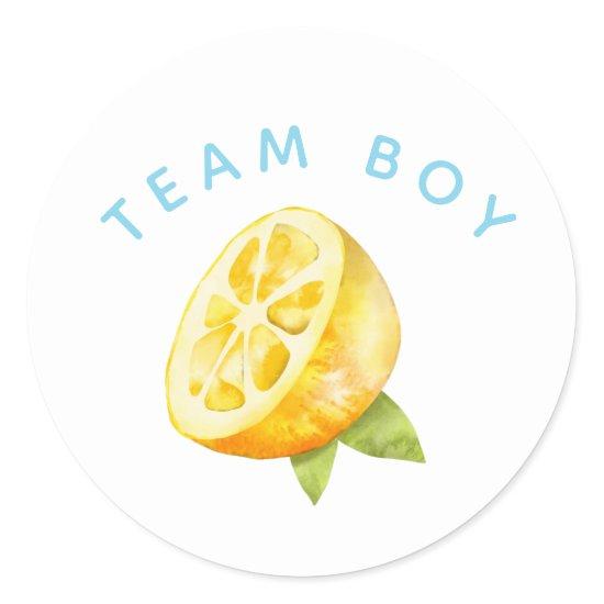 Team Boy Gender Reveal Party Vote Lemon Classic Round Sticker