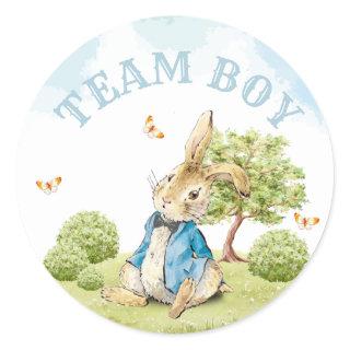 Team Boy Gender Reveal Vote Peter The Rabbit Classic Round Sticker