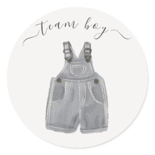Team Boy He or She Gender Reveal Classic Round Sticker