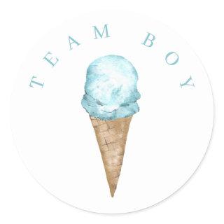 Team Boy Ice Cream Gender reveal Circle Sticker. Classic Round Sticker
