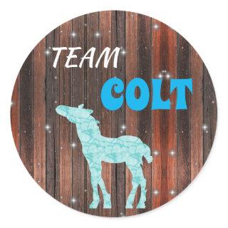 "Team Colt" Colt Gender Reveal Classic Round Sticker