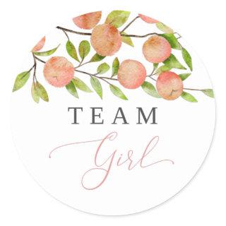 Team Girl Gender Reveal Party Vote Peach Classic Round Sticker