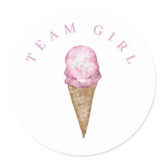 Team Girl Ice Cream Gender Reveal Round Sticker. Classic Round Sticker
