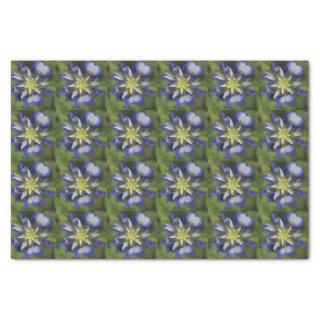 Texas Bluebonnet Tissue Paper
