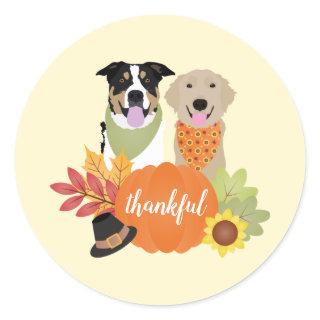 Thankful Dogs Thanksgiving Harvest Pumpkins Classic Round Sticker