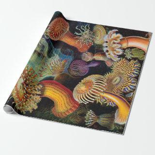 The Art of Nature by Ernst Haeckel