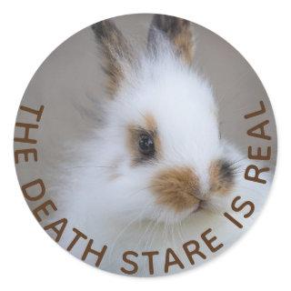 The BUNNY Death Stare is Real! Add Own Photo Classic Round Sticker