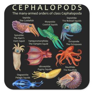 The Cephalopod Octopus Squid Cuttlefish Square Sticker