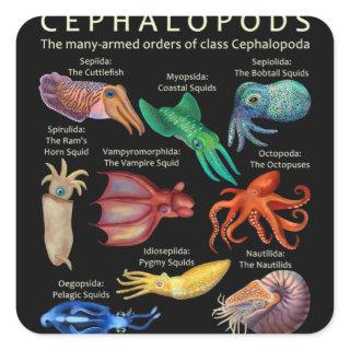 The Cephalopod Octopus Squid Cuttlefish Square Sticker