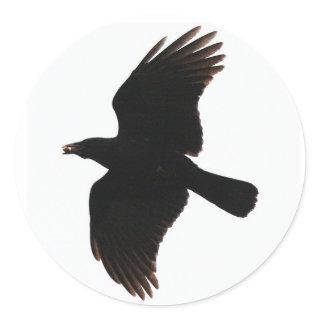 the crow round stickers