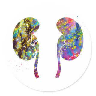 The Kidneys anatomy Classic Round Sticker