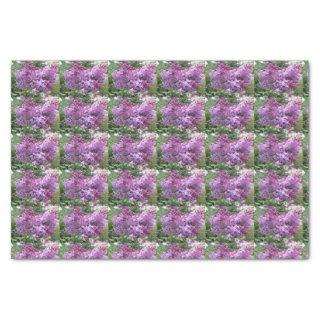 The lovely Lilacs Tissue Paper